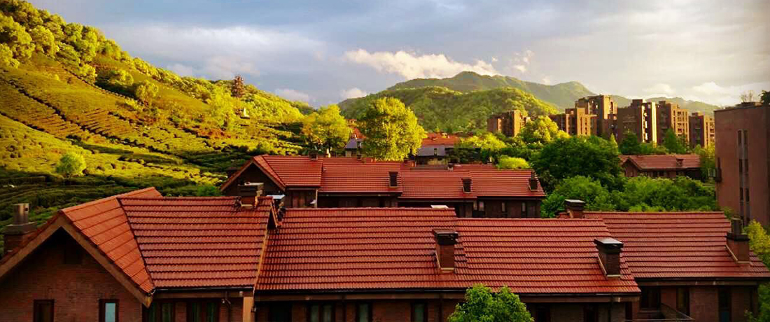 今年会 | 官方网站