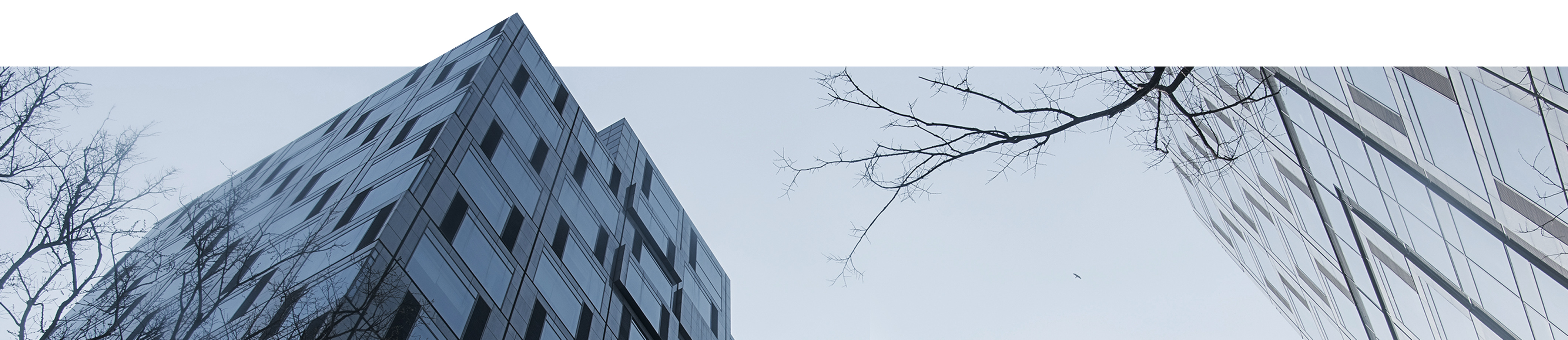 今年会 | 官方网站