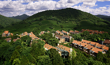 今年会 | 官方网站